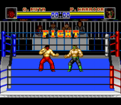 477012-shin-nihon-pro-wrestling-94-battlefield-in-tokyo-dome-turbografx.png