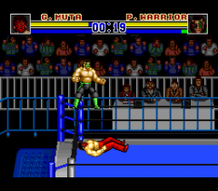 477013-shin-nihon-pro-wrestling-94-battlefield-in-tokyo-dome-turbografx.png