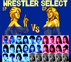 477597-super-fire-pro-wrestling-queen-s-special-turbografx-cd-screenshot.png