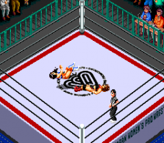 477602-super-fire-pro-wrestling-queen-s-special-turbografx-cd-screenshot.png