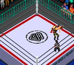 477610-super-fire-pro-wrestling-queen-s-special-turbografx-cd-screenshot.png