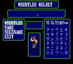 477611-super-fire-pro-wrestling-queen-s-special-turbografx-cd-screenshot.png