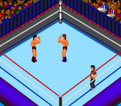 6536-ingame-Fire-Pro-Wrestling-2nd-Bout.png