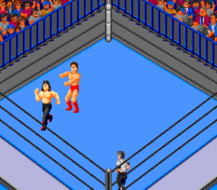 6537-ingame-Fire-Pro-Wrestling-3-Legend-Bout6.png