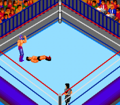 6538-ingame-Fire-Pro-Wrestling-Combination-Tag.png