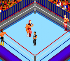 6538-ingame-Fire-Pro-Wrestling-Combination-Tag6.png