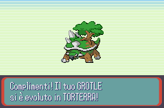 Pokemon_Versione_Reliquia_Gotica_08.png