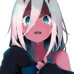 yuki233