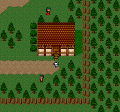 388348-startling-odyssey-turbografx-cd-screenshot-leon-s-home-village.png