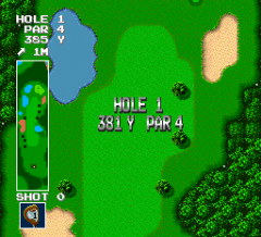 466028-power-golf-turbografx-16-screenshot-the-area-is-shown-completely.png