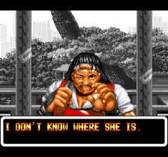 471787-art-of-fighting-turbografx-cd-screenshot-otherwise-the-game.png