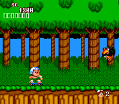 95489-new-adventure-island-turbografx-16-screenshot-on-a-skateboard.png