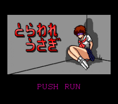 485058-shiawase-usagi-2-turbografx-cd-screenshot-title-screen-of.png