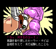 485067-shiawase-usagi-2-turbografx-cd-screenshot-and-this-is-even.png