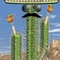 CactusDeMexico