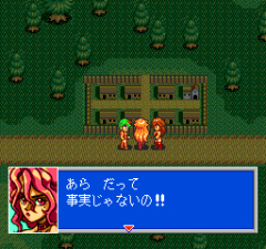 388604-princess-minerva-turbografx-cd-screenshot-near-a-town-entrance.png