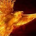 Phoenixwl