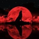 NightRed97