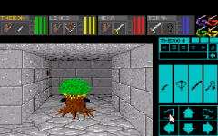 426036-dungeon-master-theron-s-quest-turbografx-cd-screenshot-a-happy.png
