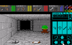 426038-dungeon-master-theron-s-quest-turbografx-cd-screenshot-another.png