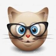 catt