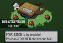 109701-pokemon-emerald-version-game-boy-advance-screenshot-choosing.jpg