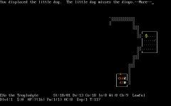 NetHack-_screen.png