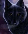 StarWolf54
