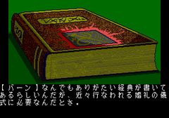 113587-dragon-knight-ii-turbografx-cd-screenshot-read-books-instead.gif