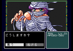 113600-dragon-knight-ii-turbografx-cd-screenshot-fighting-a-random.gif