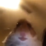 M0w