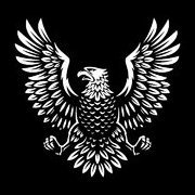 DarkEagleFR