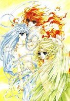 Nephtys5