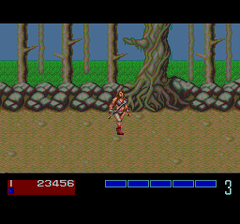 386617-golden-axe-turbografx-cd-screenshot-starting-the-game-as-tyris.png