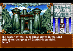 477425-might-and-magic-iii-isles-of-terra-turbografx-cd-screenshot.png