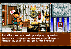 477430-might-and-magic-iii-isles-of-terra-turbografx-cd-screenshot.png