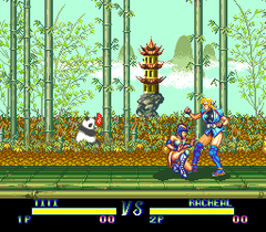 542151-martial-champion-turbografx-cd-screenshot-chick-fighting-the.png