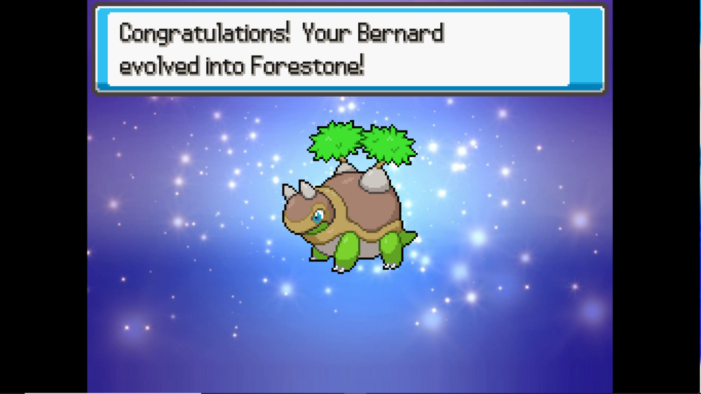 Capture d’écran (10).png