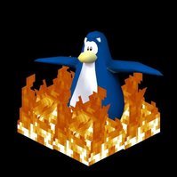 donkeyking666