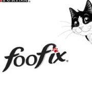 Foofix