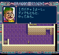 386278-dragon-knight-iii-turbografx-cd-screenshot-conversations-with.png