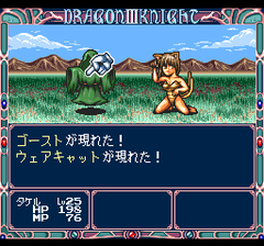 386280-dragon-knight-iii-turbografx-cd-screenshot-fighting-random.png