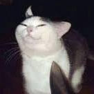 JimleroideMH3U