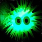 OPAhostile