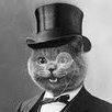 TheFancyCat