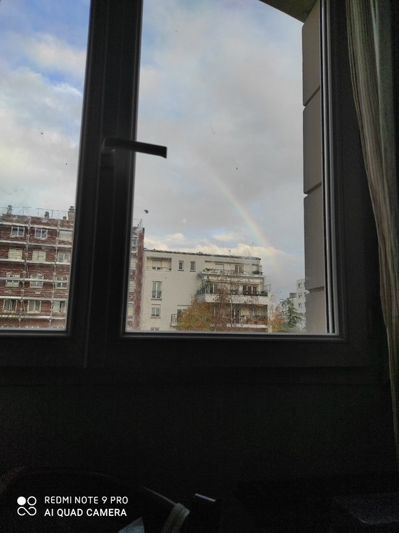 IMG_20201110_161028_2.jpg