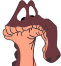 Pouetus