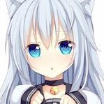 kittencats1