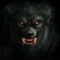 BrownWolf