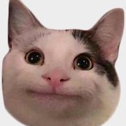 Zapogo